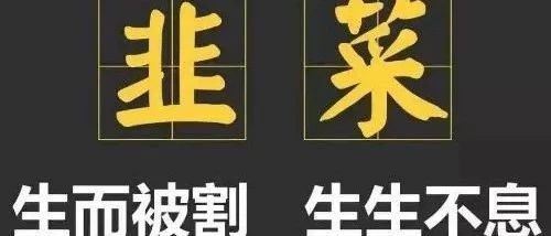 富掌柜pos机显示没有 掌柜宝pos机免费领取，店掌柜pos机官网